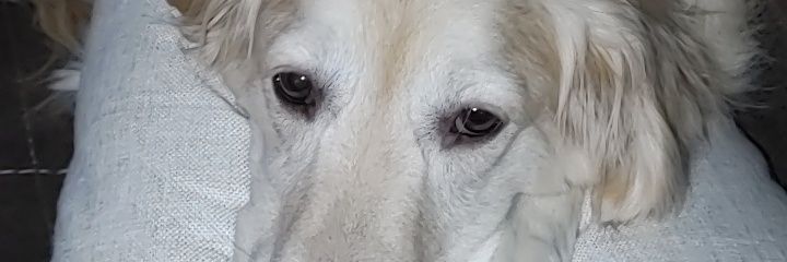 A_34's profile banner image