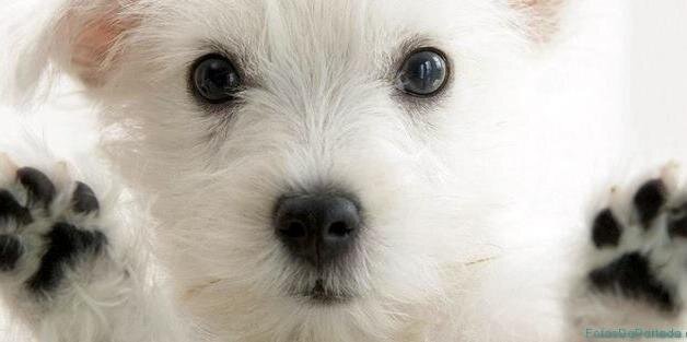 Marina Pérez banner