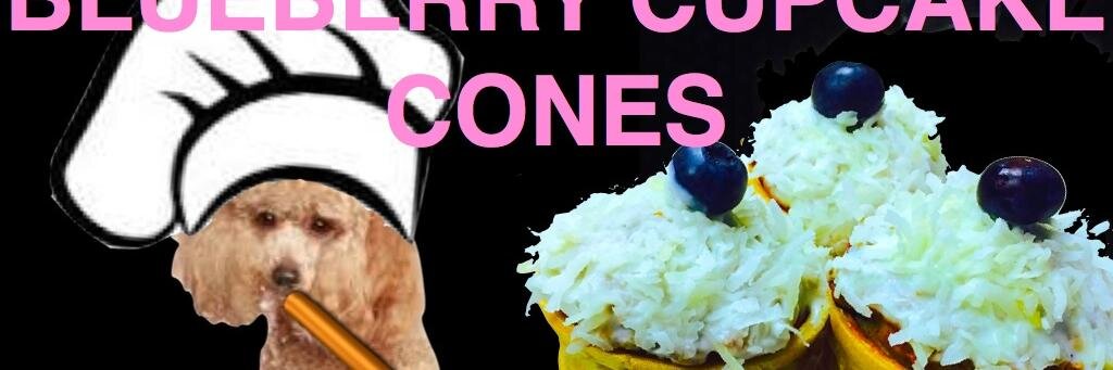 cookfordogs's profile banner image