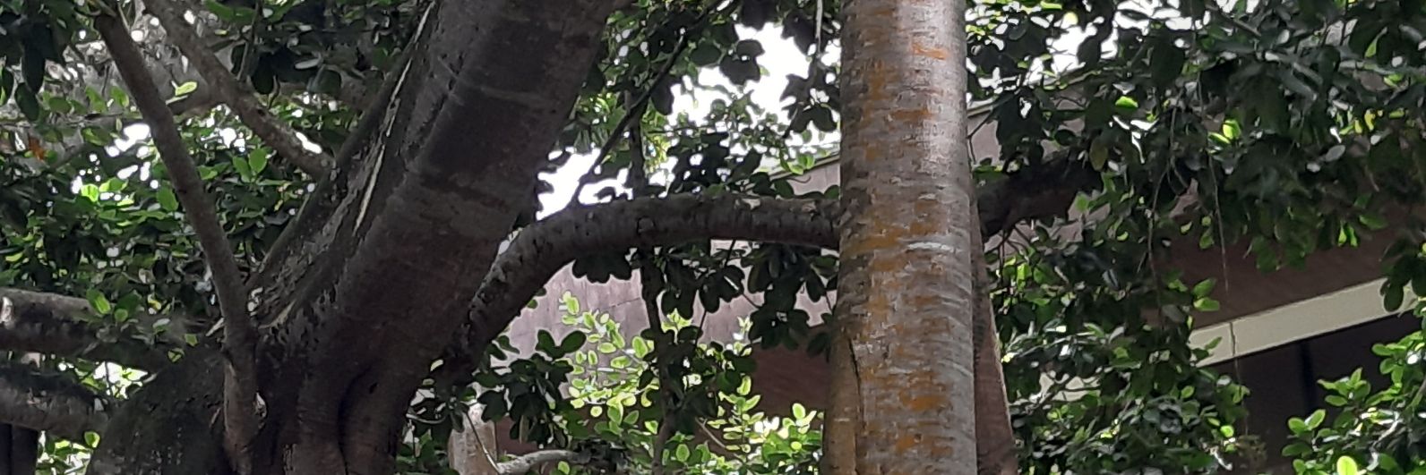 odavidhl's profile banner image