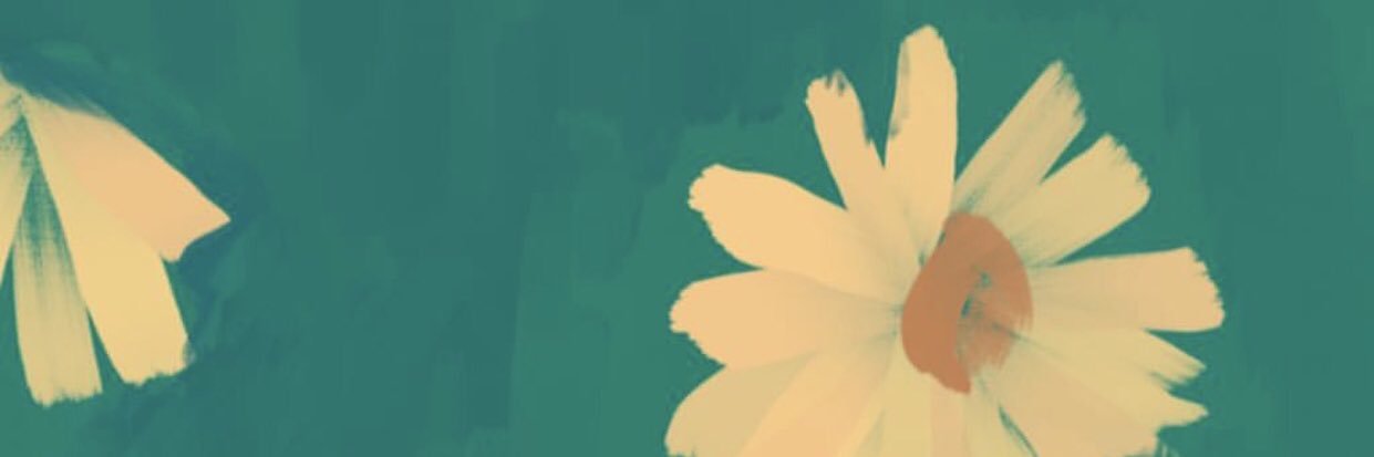 leesagierhan's profile banner image