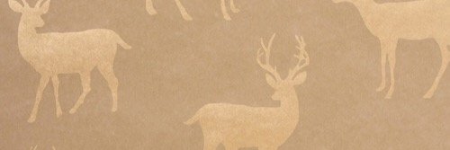 nicolerm09's profile banner image