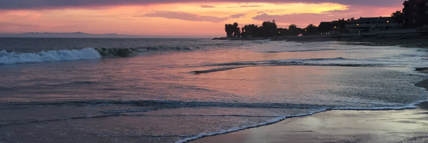 Ashley Torres banner