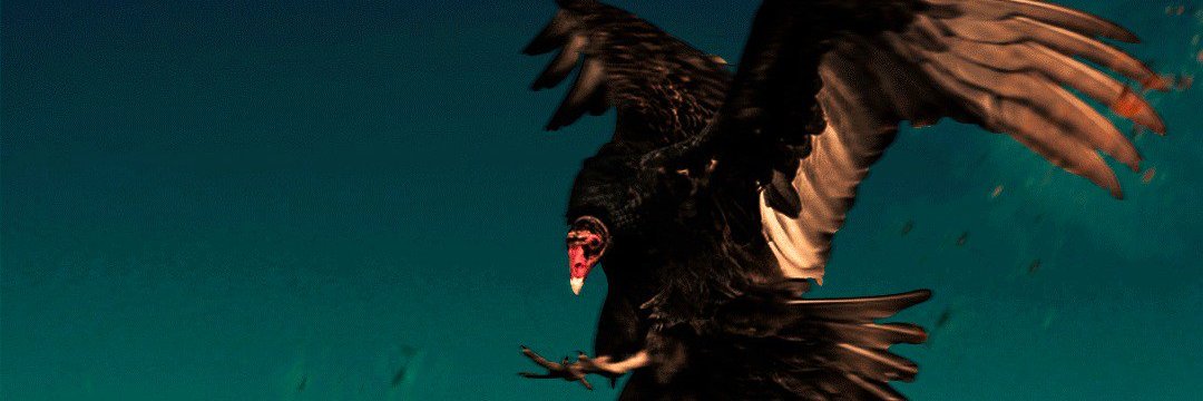 Lucas Pereira banner