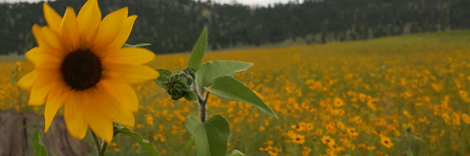 beerbierbeer's profile banner image