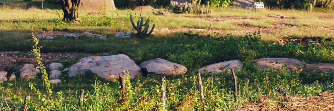 DiiegoTrindade's profile banner image