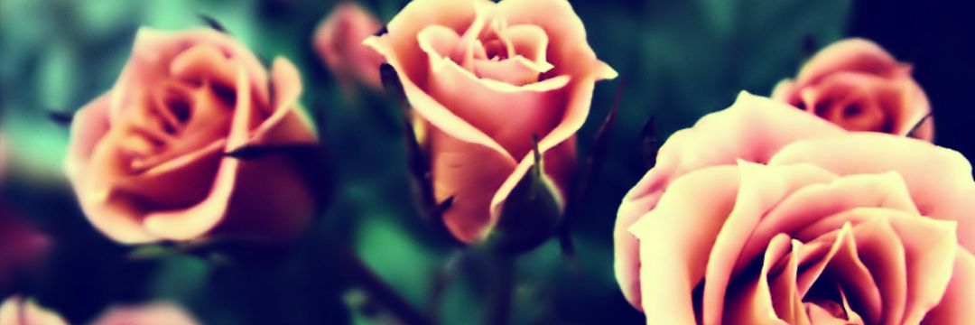 JenniferKL_'s profile banner image