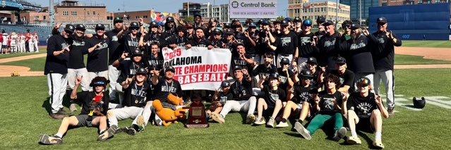 Edmond Santa Fe Wolves BSB banner