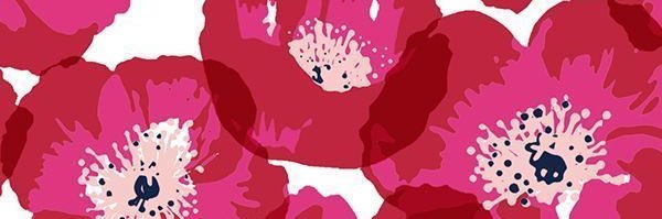 Anvisiga's profile banner image