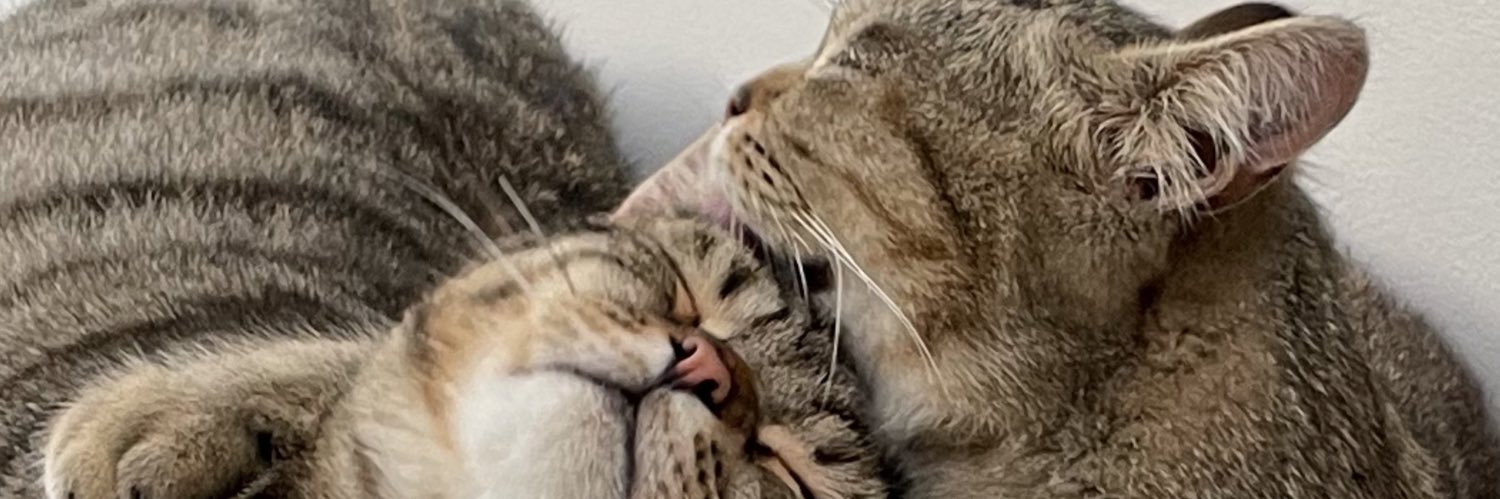 Nik R 🚴🏻‍♀️🧘🏻🧪🌱 banner