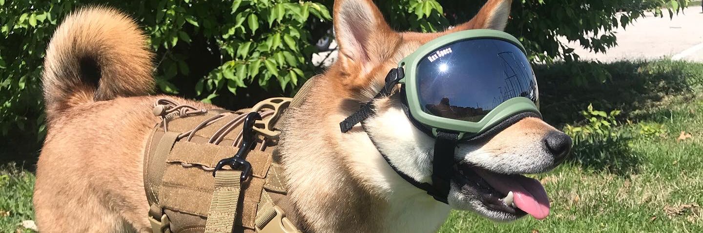 SemperFijealous's profile banner image