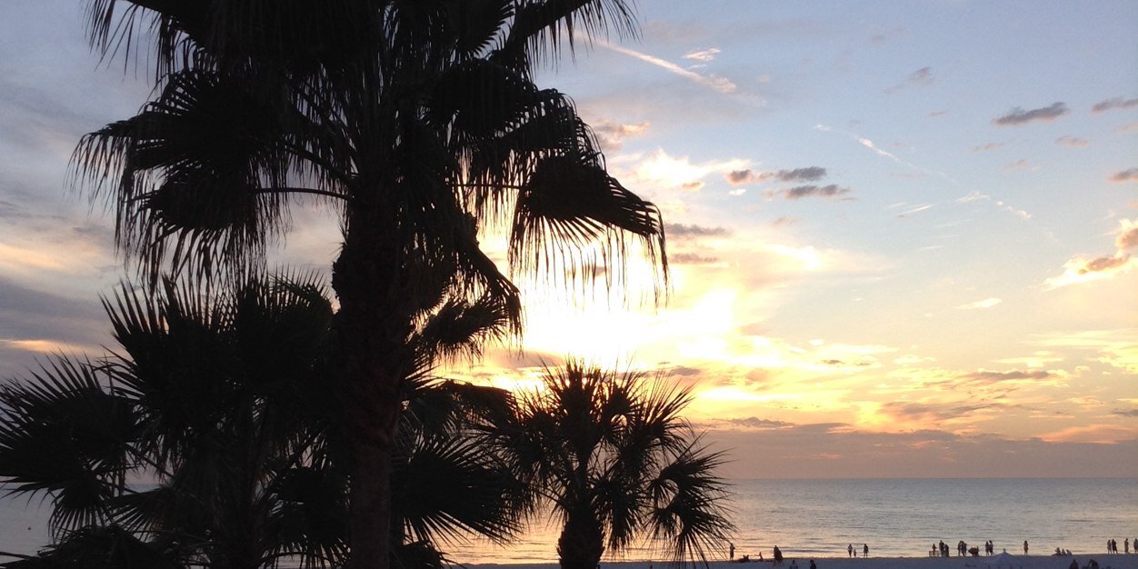 callender_amber's profile banner image