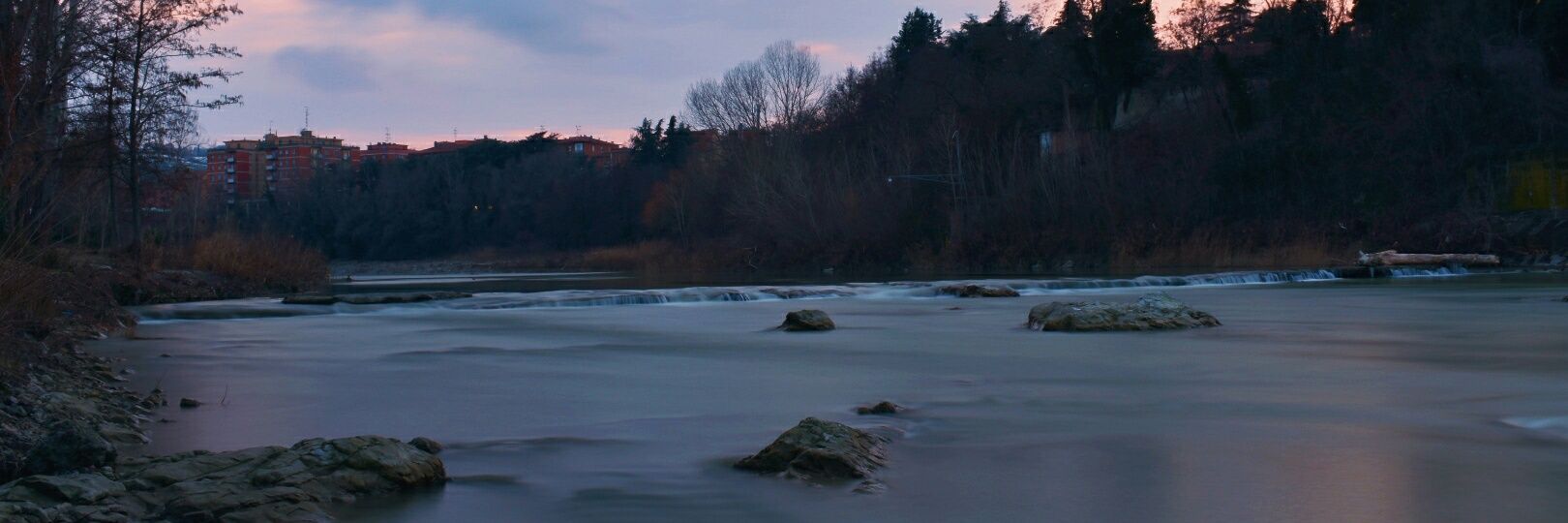 Mattia Orlandi banner