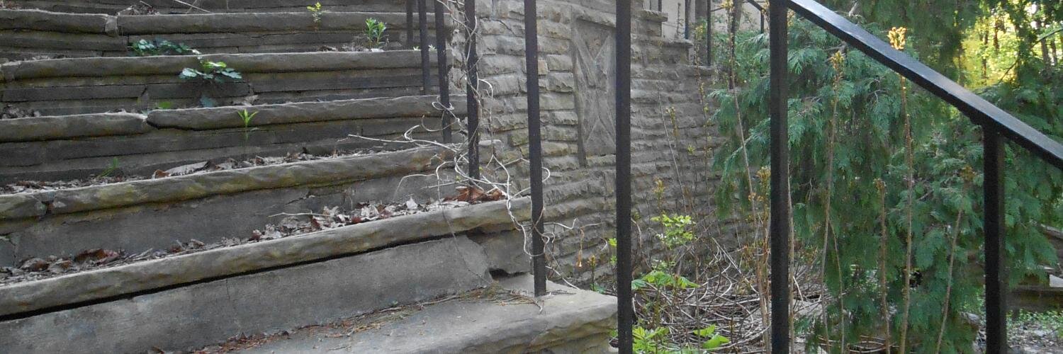 alisonohzed's profile banner image