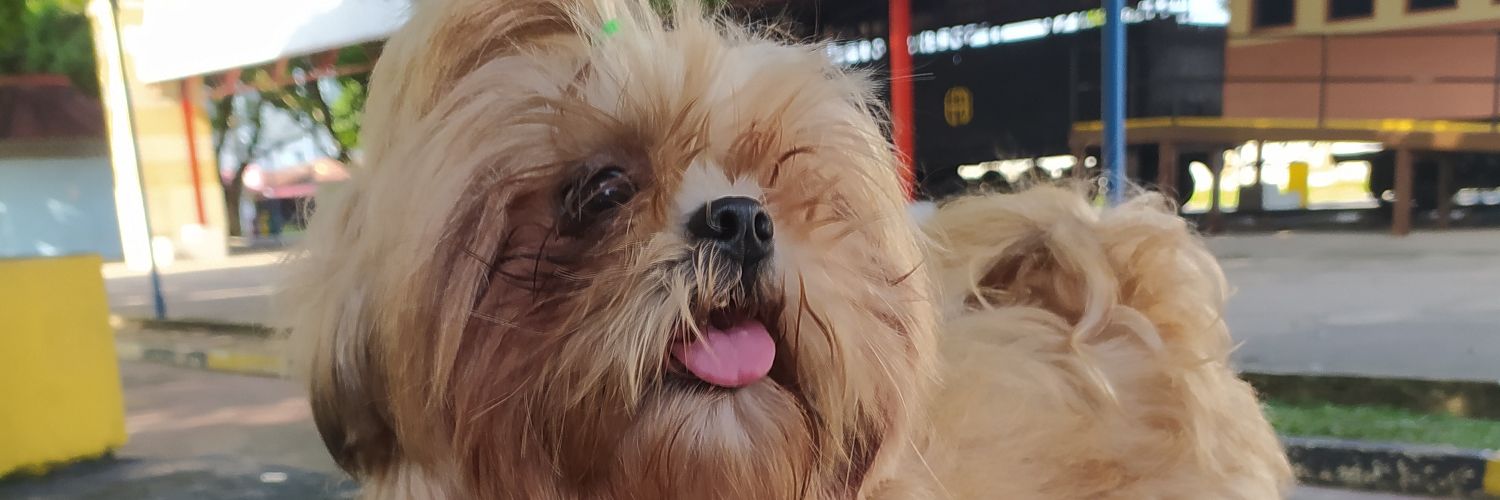 _tatisabrina's profile banner image