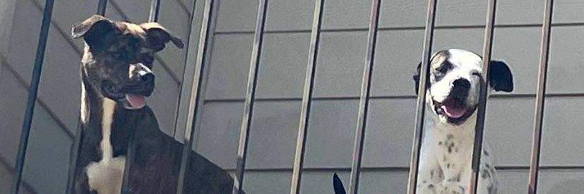 woaheazy_'s profile banner image