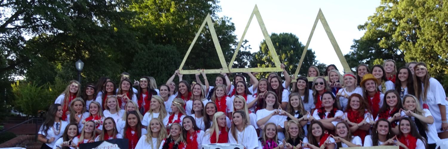 Clemson TriDelta banner