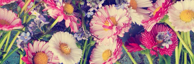 cindy_dior's profile banner image