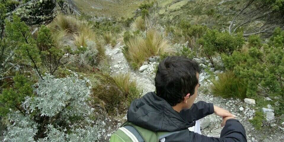 JrGVidalVidal's profile banner image