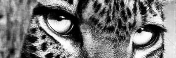 _maarianem's profile banner image
