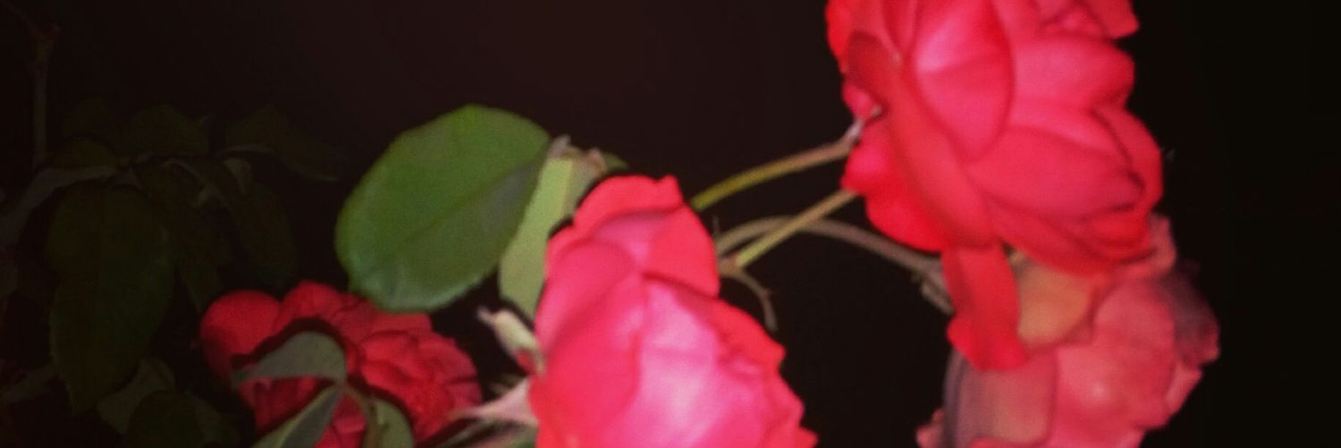 Ömer İşlek banner