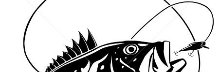 AymericViaud's profile banner image