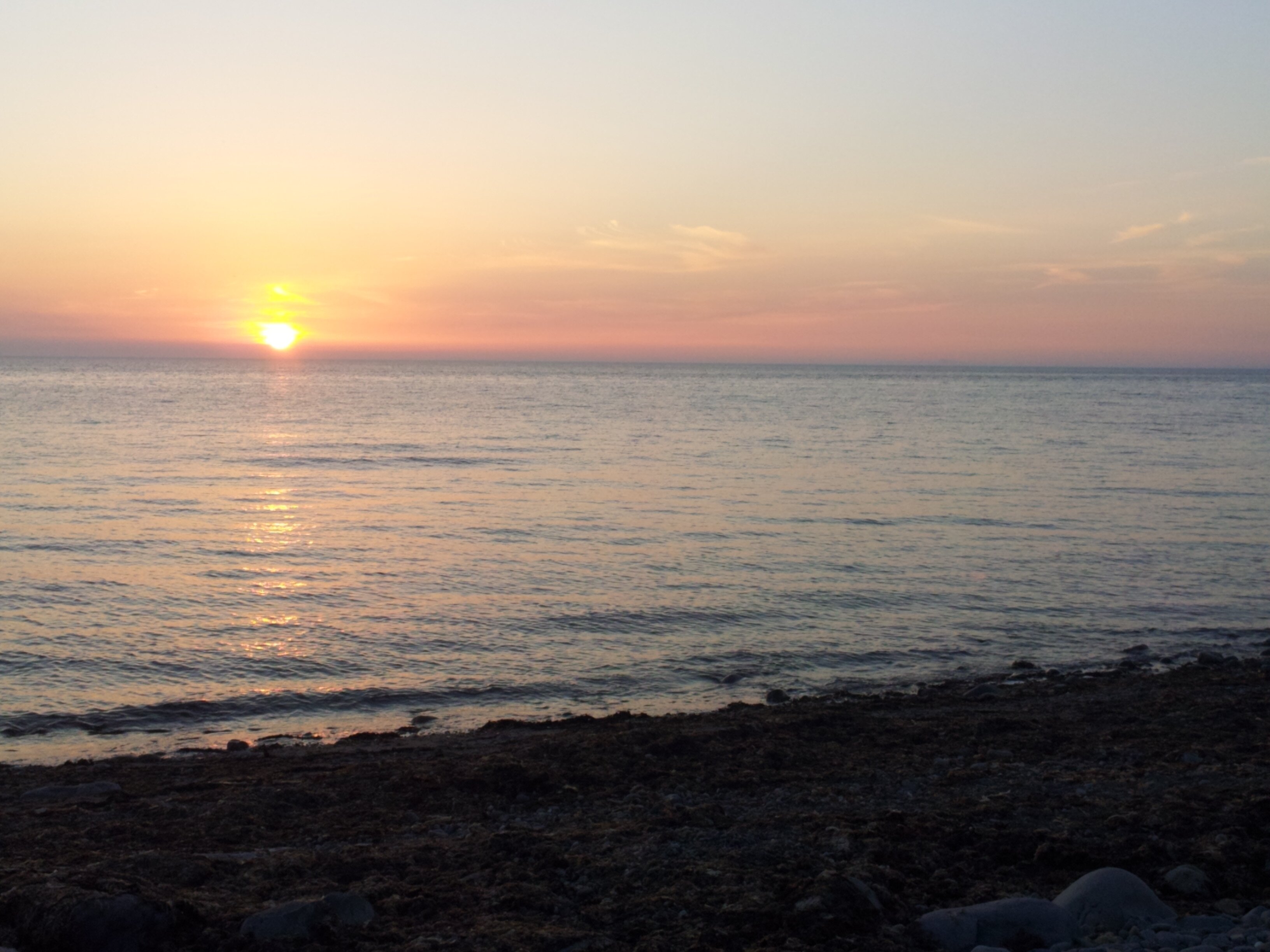 bassbone62's profile banner image