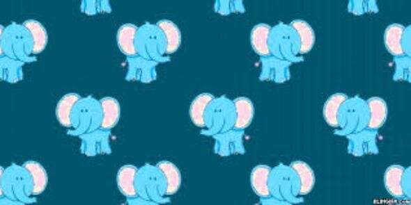 Chcrlie_'s profile banner image