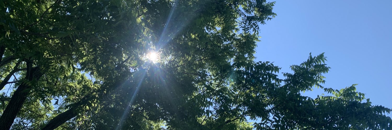 Rodas Johnson banner