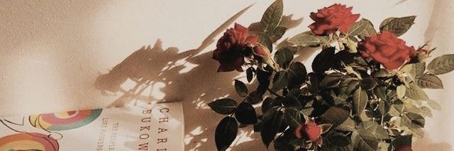 zhureena's profile banner image