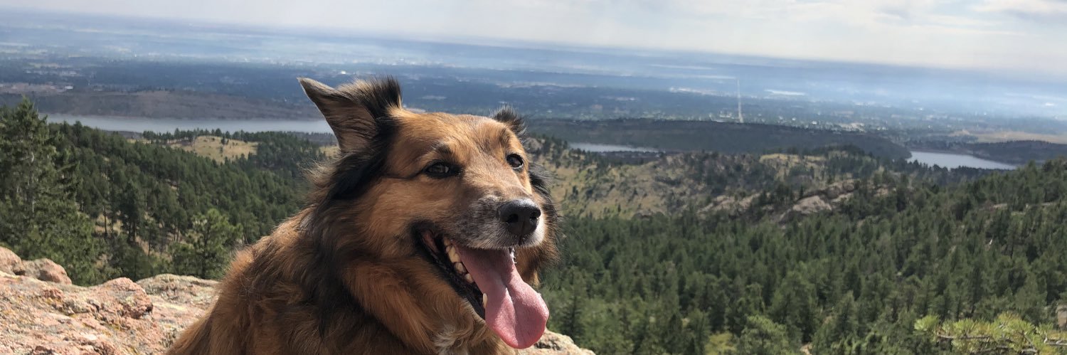abbi_land's profile banner image