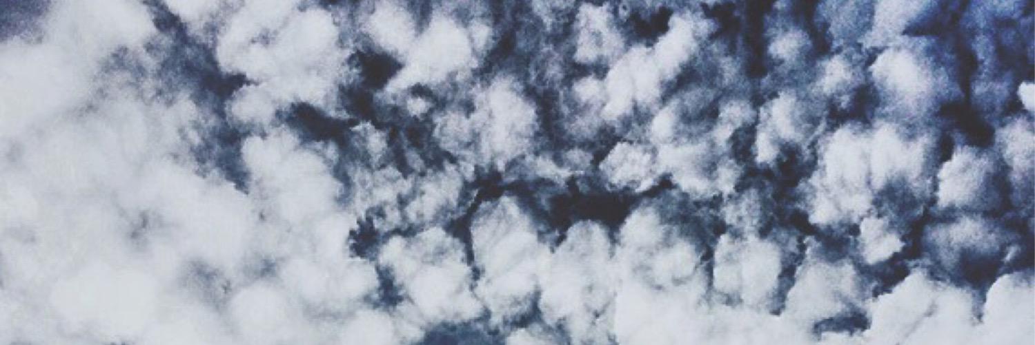 SelinErguven's profile banner image