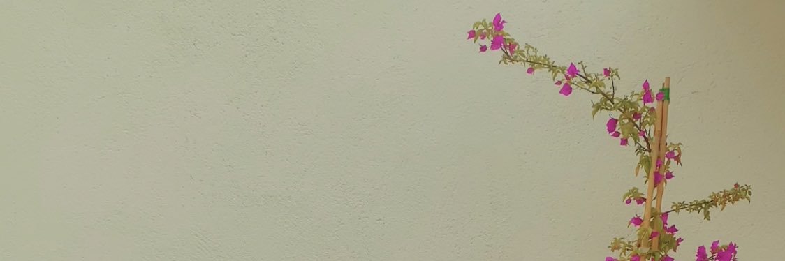 Martin Ocean ⚡️ banner