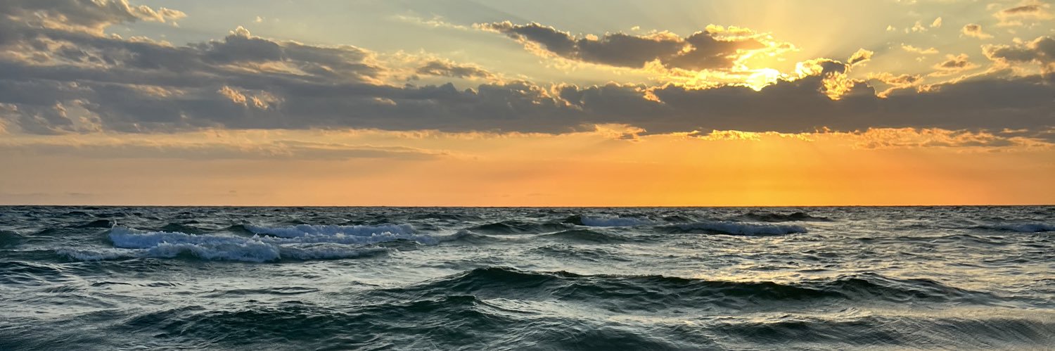 Meerkat2u's profile banner image