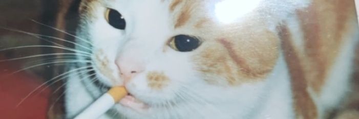 kayny57's profile banner image