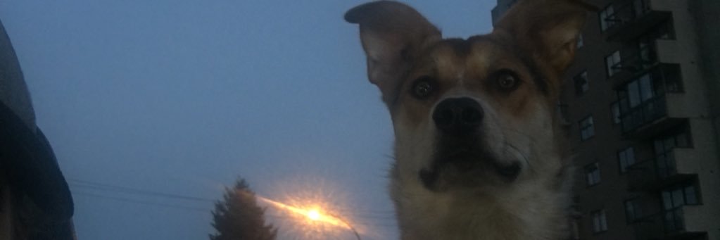 marcush16's profile banner image