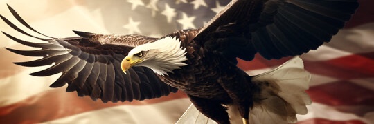 doweigel's profile banner image
