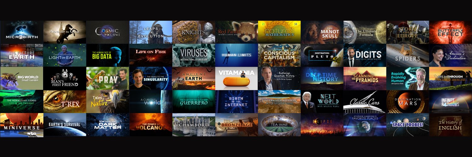 Elizabeth Hendricks Saravia banner