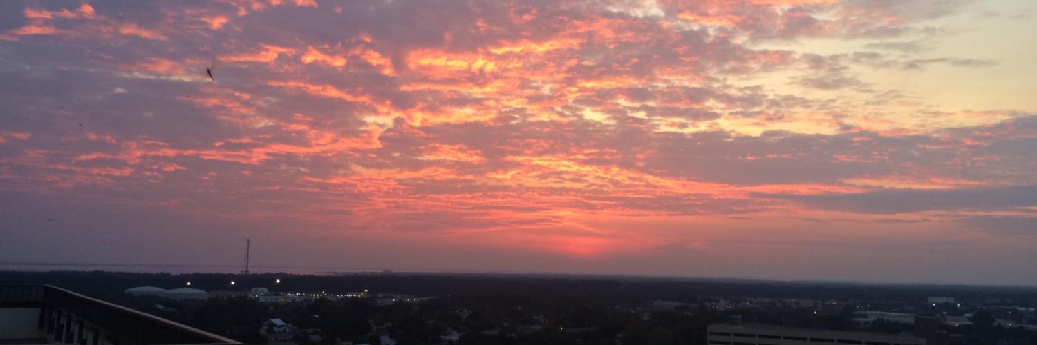 AllyClements's profile banner image