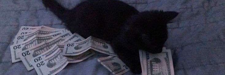 malicesaintnoir's profile banner image