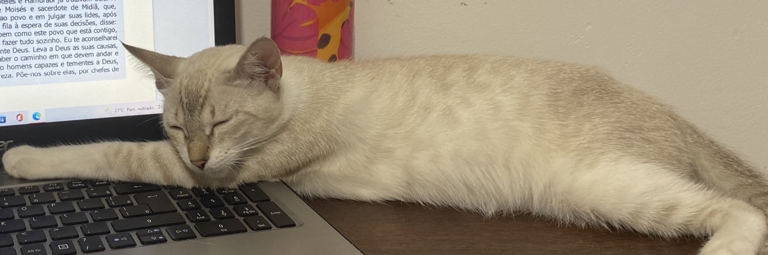 thayolivx's profile banner image