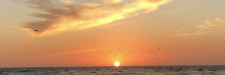 20 banner