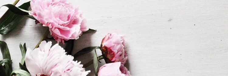 Brittany Lang banner
