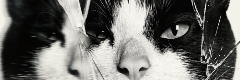 mega príncipe negro ✨ banner