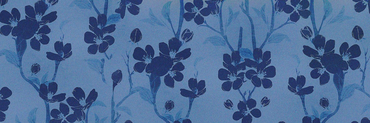 Caryxza's profile banner image