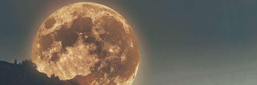 stephadream's profile banner image