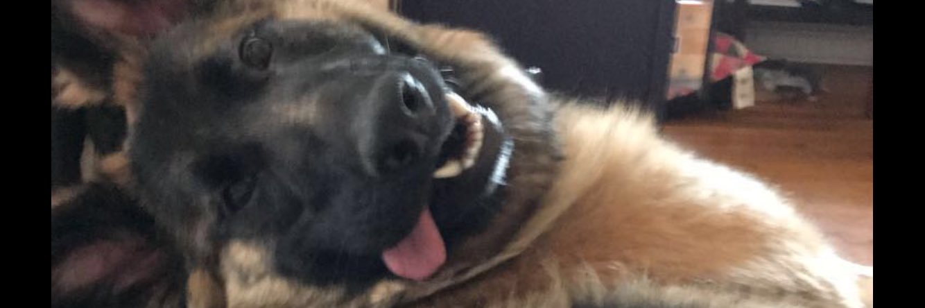 CoilGrant's profile banner image