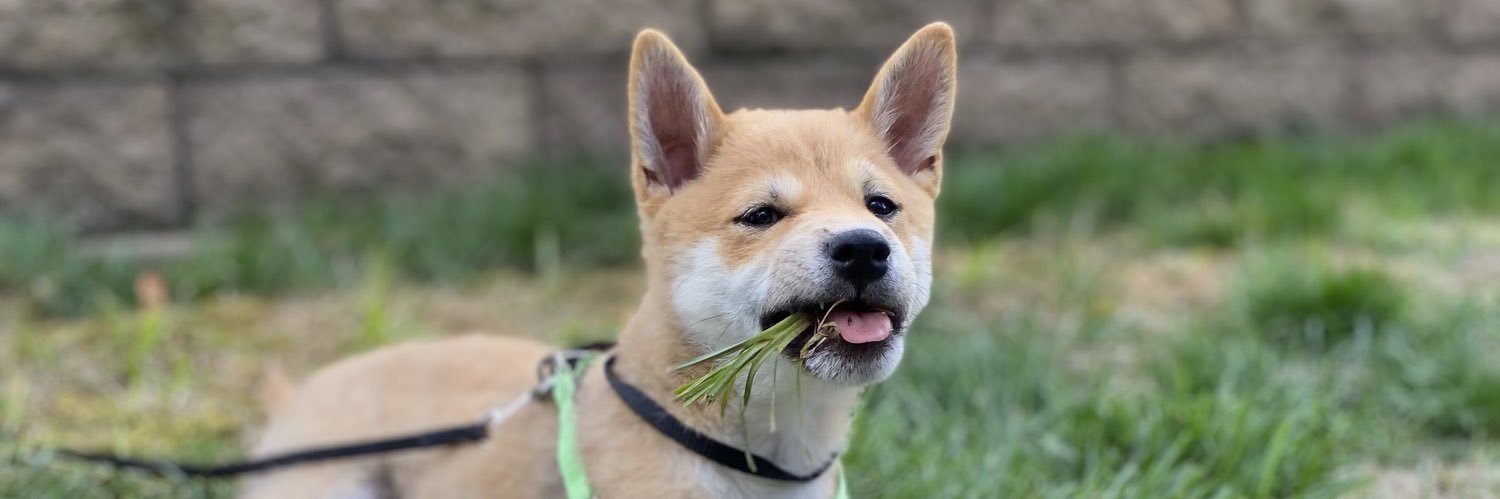 brianemark's profile banner image