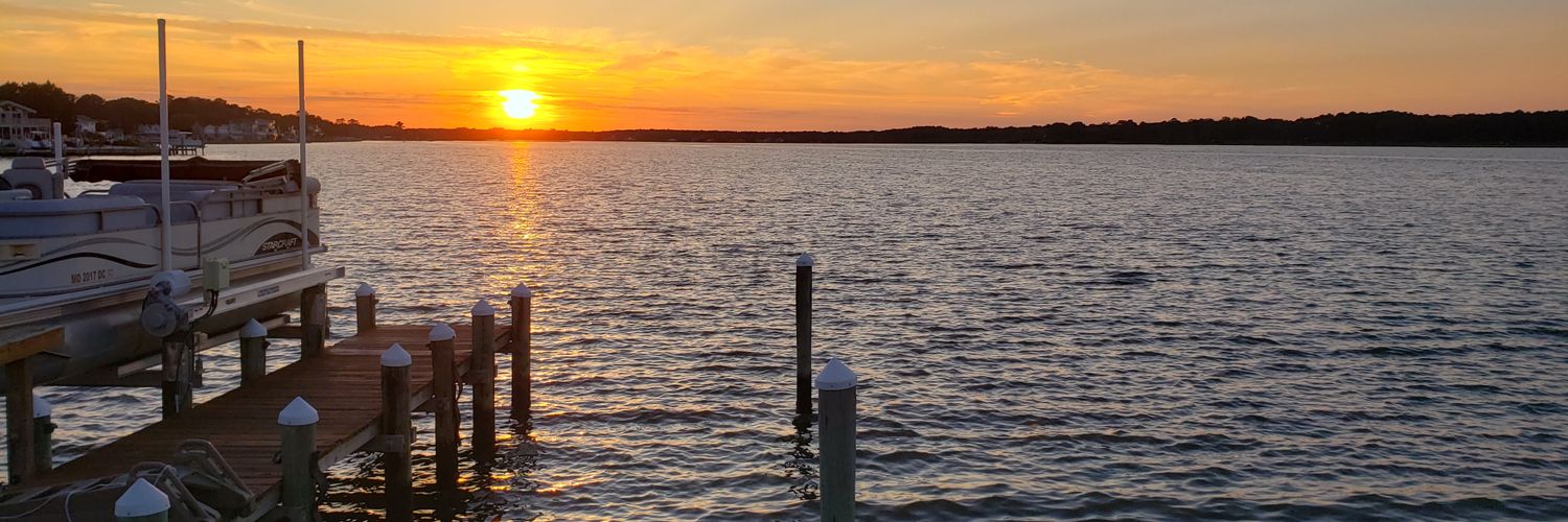 beth82 🇺🇸🇺🇦🇮🇱🇬🇱 banner