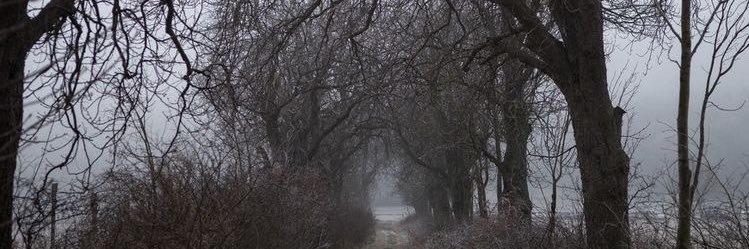 terrorusa6's profile banner image